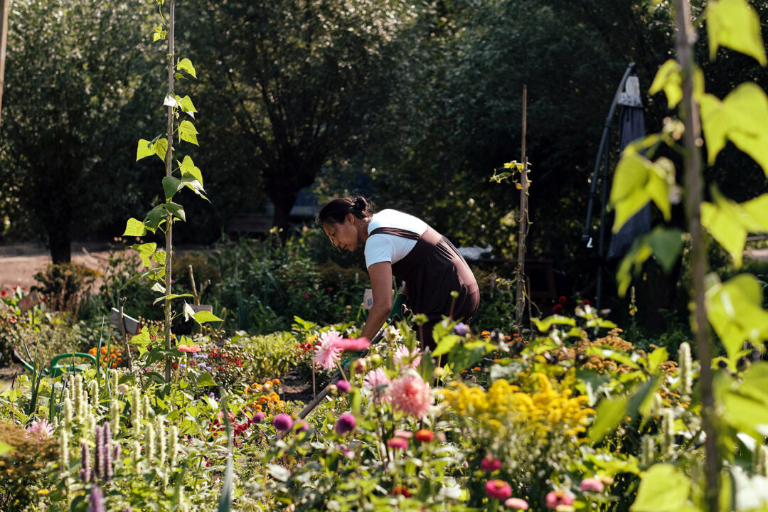 STICHTING CREATING EDGES – BLOEI & GROEI HEALING GARDEN